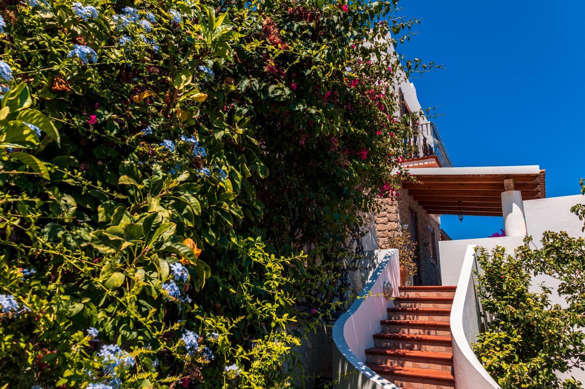 Apartahotel La 4*